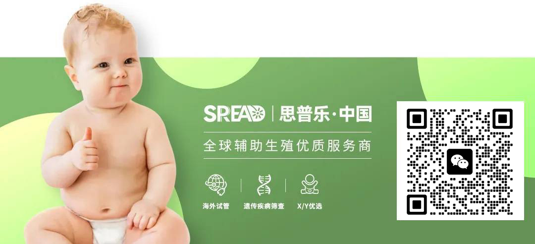 wenzhang-hc 拷贝.jpg