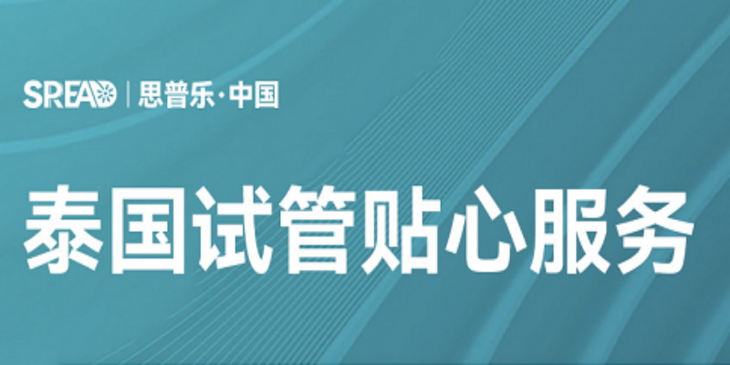 泰国试管贴心服务