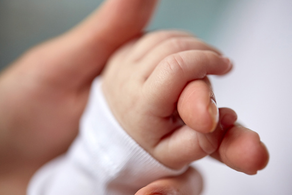 【干货】试管婴儿“养囊”是什么意思？